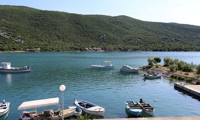 Brijesta Apartment | Two bedroom apartment near beach Brijesta, Pelješac (A-10223-a)