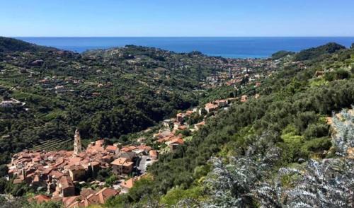 Vallebona Apartment | U Campanin