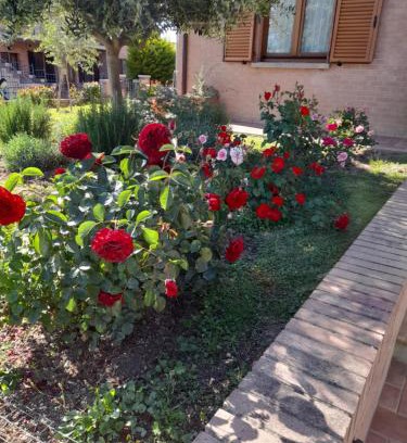 Torrenieri Apartment | Un passo alla volta