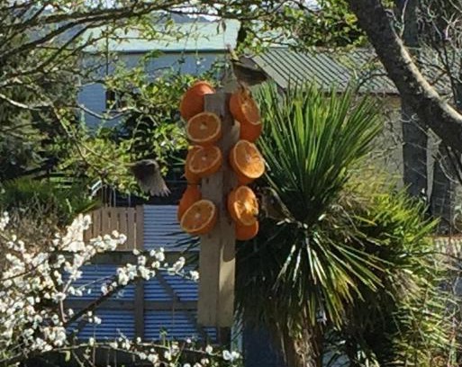 Waihi House | Union Street Hideaway