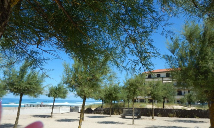 Soorts-Hossegor Apartment | UNIQUE SITUATION FOR THIS APARTMENT IN GROUND SOUTH BEACH HOSSEGOR