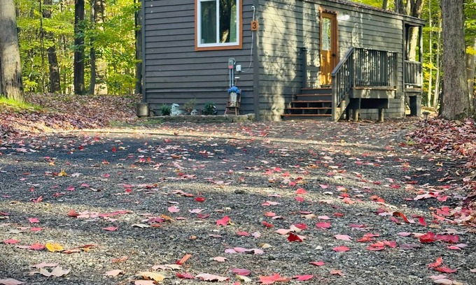 Birch Run Township House | Unit 3 Lodge Cabin (no pets allowed)