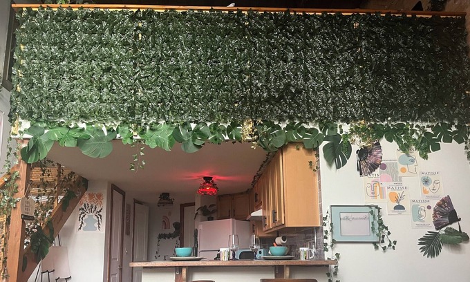 Mexicantown - Southwest Detroit Apartment | Urban Safari Loft 10 minutes from downtown.