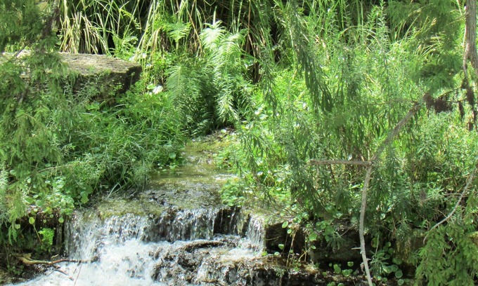 Utopia House | Utopia Springs at Lost Maples~Spring Fed Sabinal River Front - Serenity
