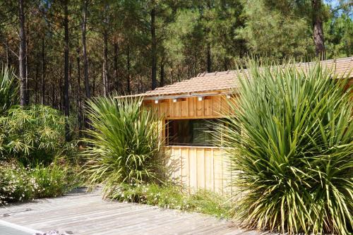 Lege-Cap-Ferret House | Vacances Océan Maison bois Lège Cap Ferret 1-4p