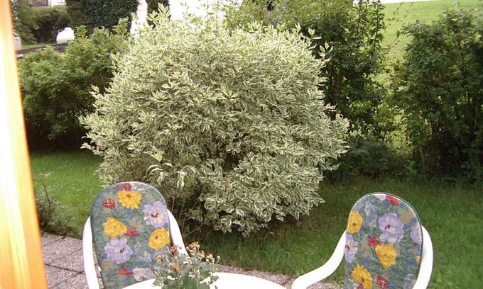 Bad Kohlgrub Apartment | Vacation Apartment Smandzik - Vacation Apartment