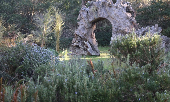 Inverness House | Van der Ryn Eco-Refuge: Architecture in Nature