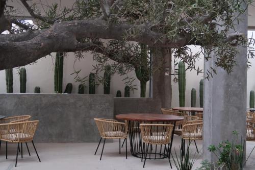 La Ventana Apartment | Ventonorte