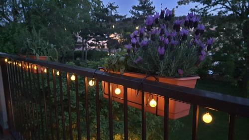 Duino House | Verdemare