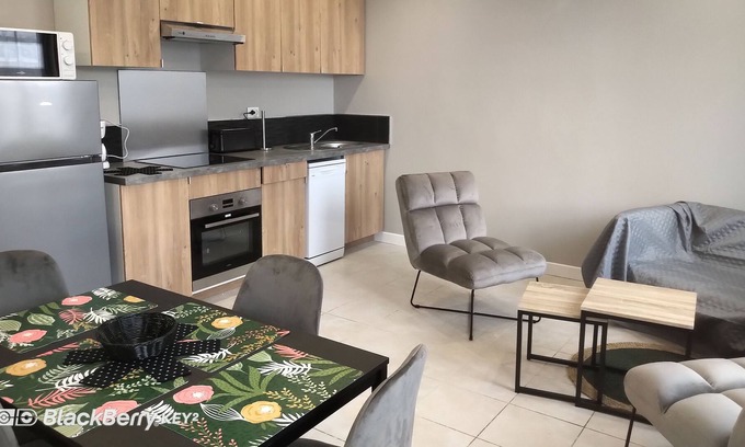 La Maladrerie Apartment | Very nice F2 near the city center of Caen