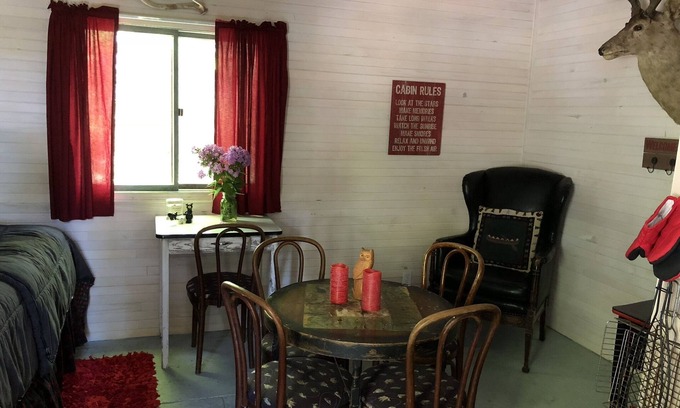 Petoskey Cabin | very private,adorable rustic cabin -out house , full shower house off barn