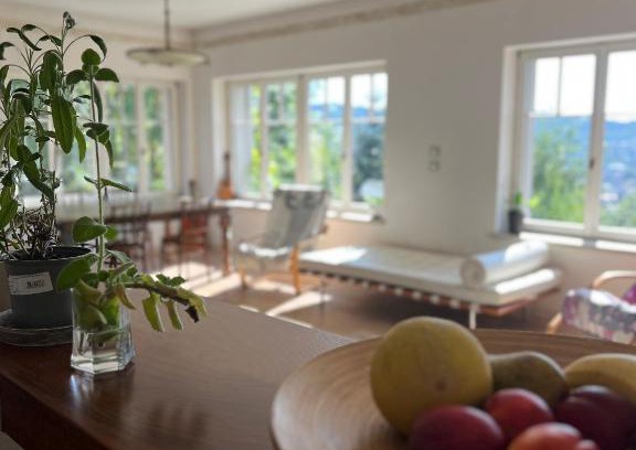 Jablonec nad Nisou Apartment | Vila Bellevue