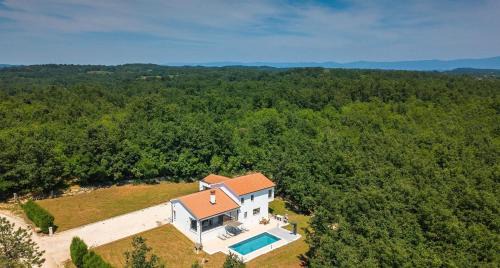 Bazgalji Villa | Vila Prisunca jacuzzi & swimming pool