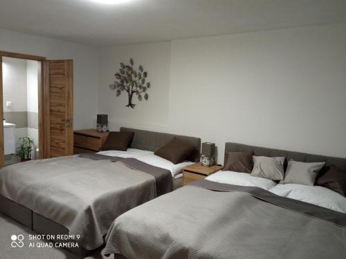 Pucov Apartment | Vila Veles