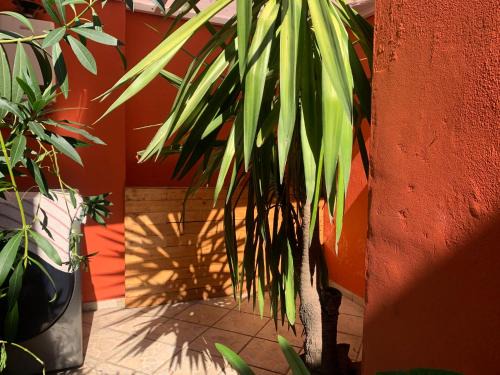 Santa Catarina Bed & Breakfast | Villa Coyoacan