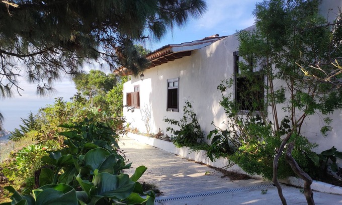 Cueva del Viento Other | Villa de Mensa - Traditional canarian farmhouse