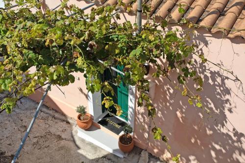 Elation Apartment | Villa Drosia