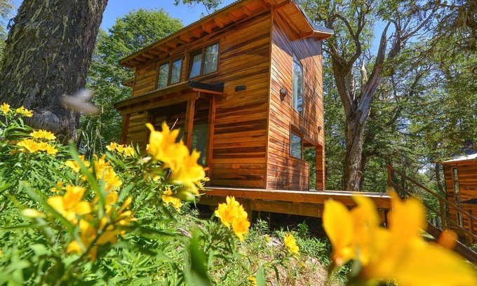 Neuquen Cabin | Villa las Lengas