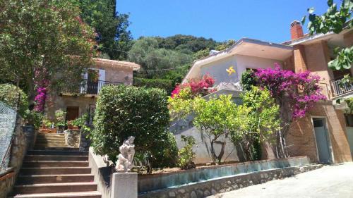 San Felice Circeo Bed & Breakfast | Villa Lina B&B