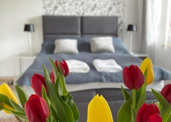Wdzydze Kiszewskie House | Villa Marzenie Pokój 2 osobowy