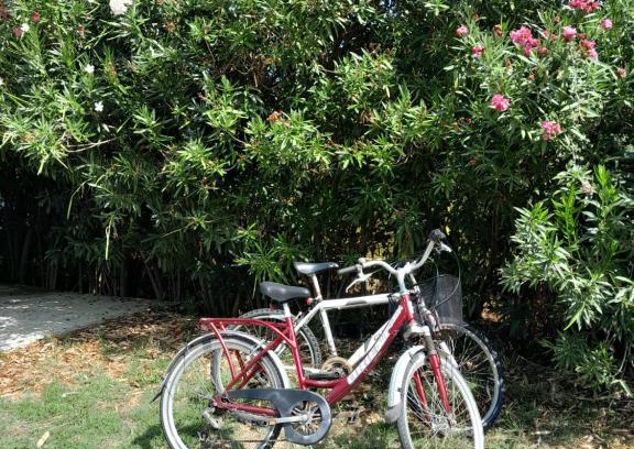 Agios Ioannis House | Villa Menta