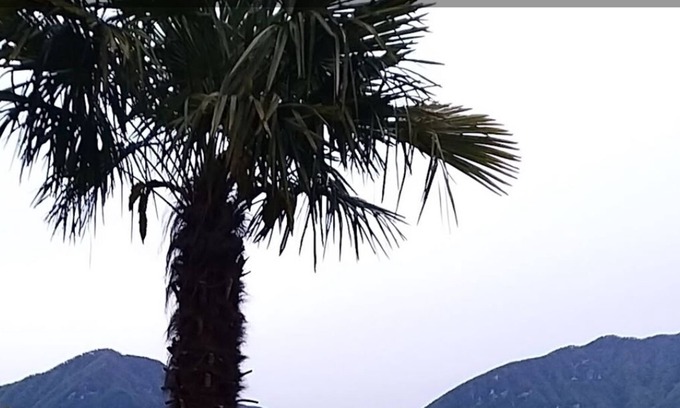 Bigogno Villa | Villa Morcote