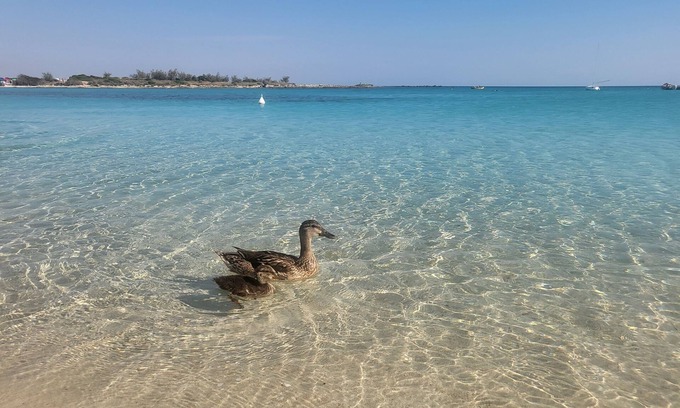 Scala di Furno Apartment | VILLA PAMPO