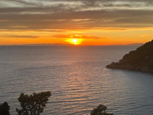 Bonassola Apartment | VILLA ROSA CON SPLENDIDA VISTA MARE