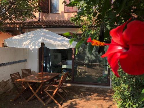 Capitana House | Villa stella di mare