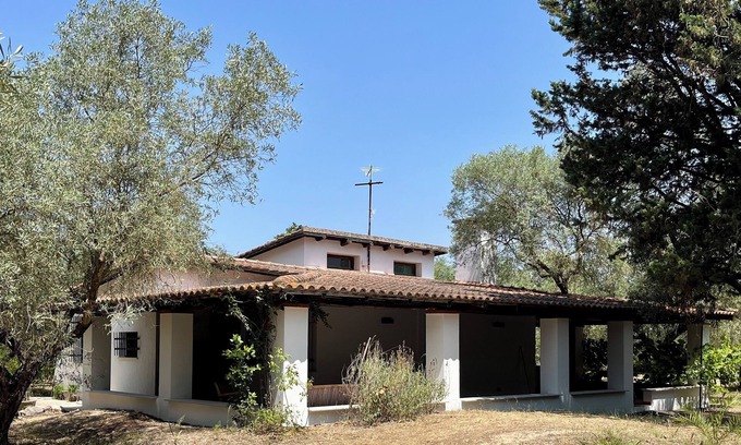 Oristano Villa | Villa surrounded by a centuries-old olive grove