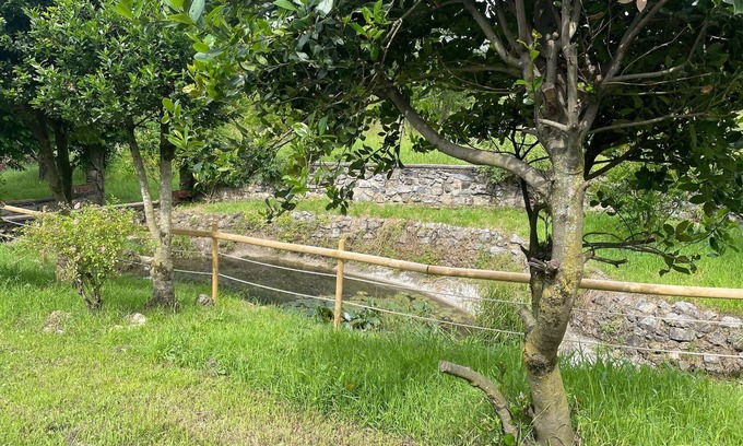 Cenate Sotto Bed & Breakfast | Villa Vinea Prisca