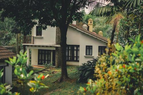 Escuintla Villa | Villa with pool in nature