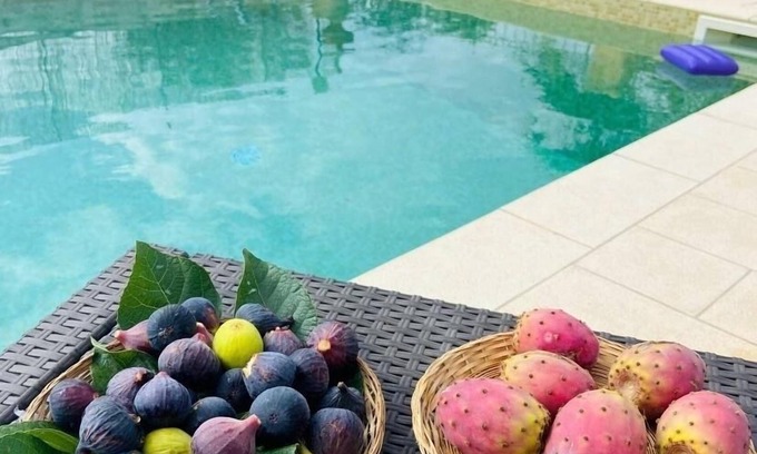 Specchiolla House | Villa with private pool - sea view near WWF natural oasis