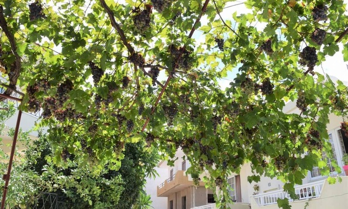 Paradisi House | Village Home in Paradisi Rhodes