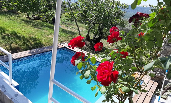 Popovici House | Village isolated peaceful with pool , You are the only guests in the house !