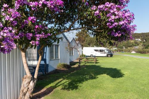 Paihia Resort | Waitangi Holiday Park