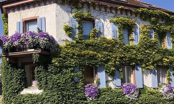 Oberrotweil Apartment | Weinberg-Ferienwohnung, Oberrotweil