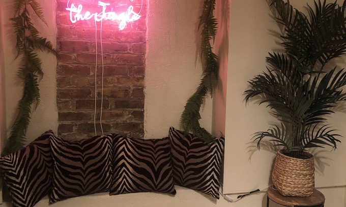 Irish Channel Apartment | Welcome to the Jungle pad!