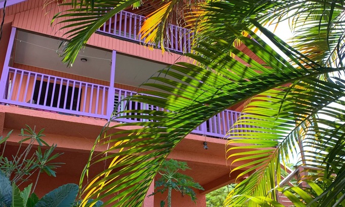 Puntas House | Welcome to the jungle Beach~House & Pool