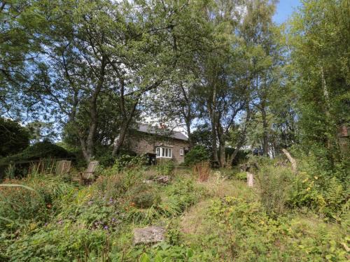 Greenhaugh House | West Burnbank