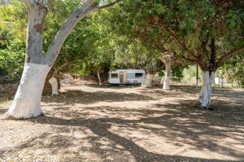 Sfinari Other | West nest caravan