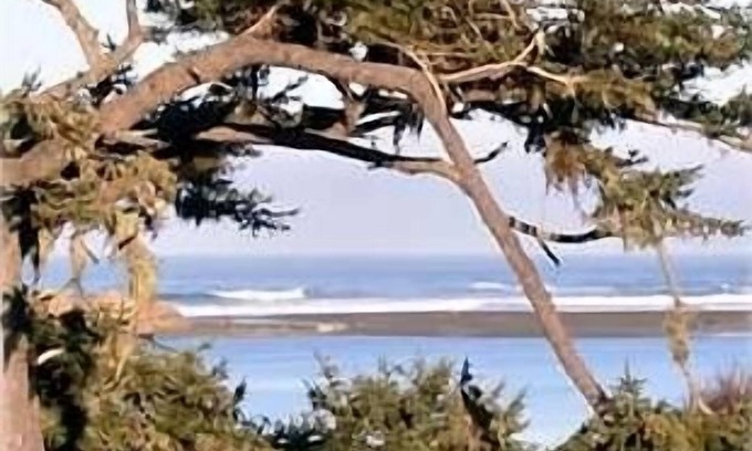 McKinleyville House | Whales Tale Cabin Fabulous Ocean and River Views