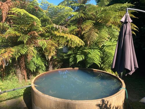 Tokaanu House | Whare&geothermal pool by lake Taupo