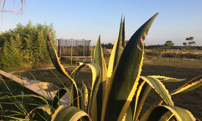 Villeneuve-les-Maguelone Villa | White architect's villa near the Mediterranean Sea