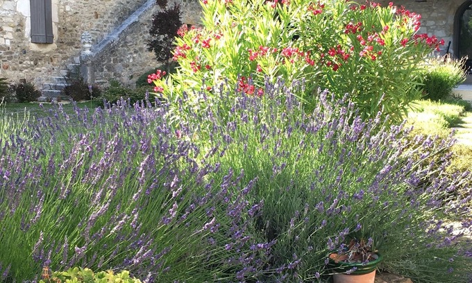 Goudargues Other | Whole Mas de Bres