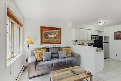 Breckenridge Apartment | Wild and Free Condo 102