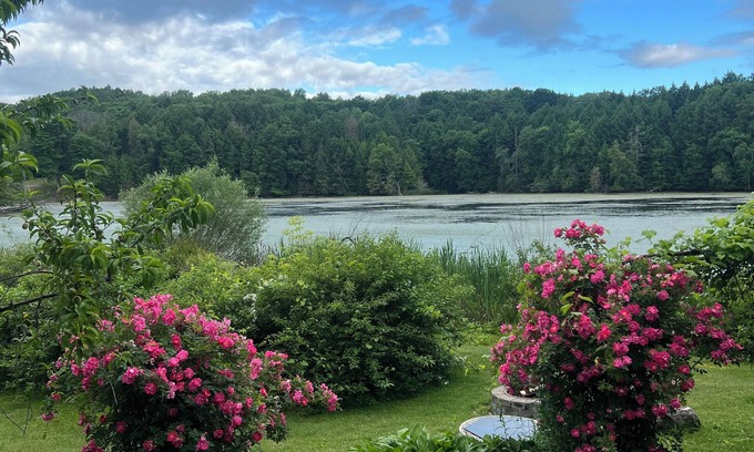 Lanesborough House | Wildlife Lakeside Cottagenbeautiful views, amazing wildlife, great location
