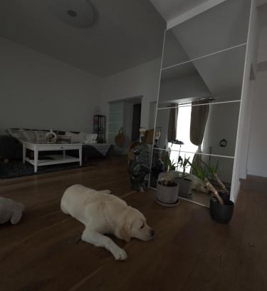 Weststadt Apartment | Wohnung in Zentrum Bonn