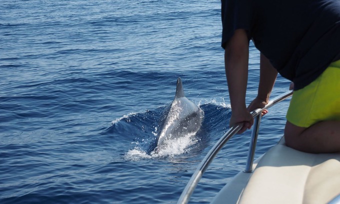 Marciana Marina Apartment | Wonderful Residence "Il Toro"