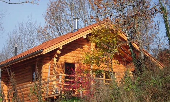 Saint-Martin-la-Sauvete Cottage | Wooden chalet in nature, pets welcome